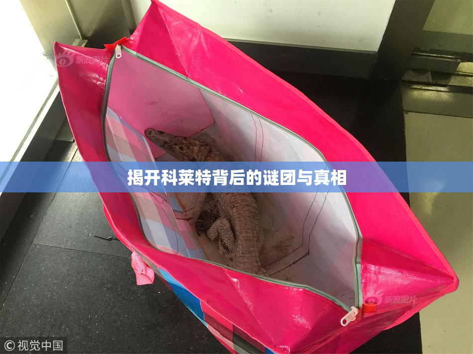 揭开科莱特背后的谜团与真相