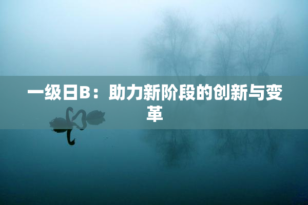 一级日B：助力新阶段的创新与变革