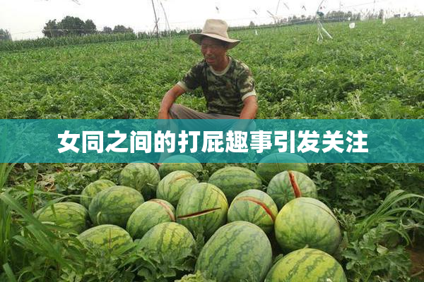 女同之间的打屁趣事引发关注