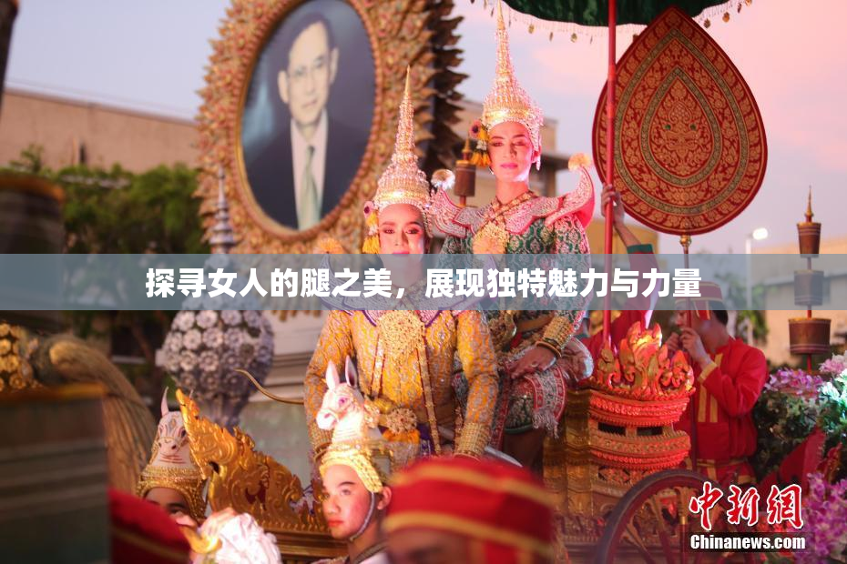 探寻女人的腿之美，展现独特魅力与力量