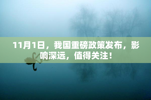 11月1日，我国重磅政策发布，影响深远，值得关注！