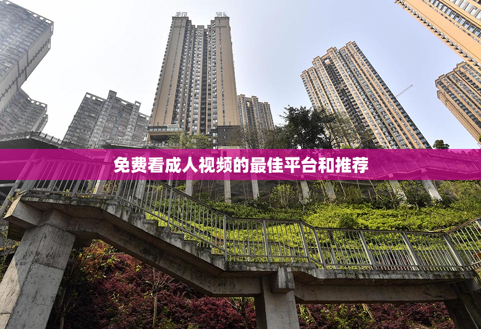 免费看成人视频的最佳平台和推荐