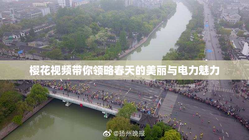 樱花视频带你领略春天的美丽与电力魅力