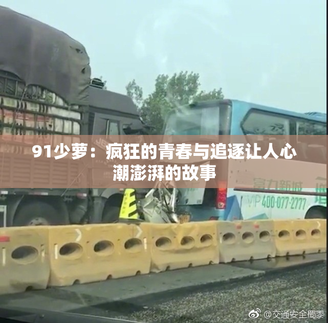 91少萝：疯狂的青春与追逐让人心潮澎湃的故事
