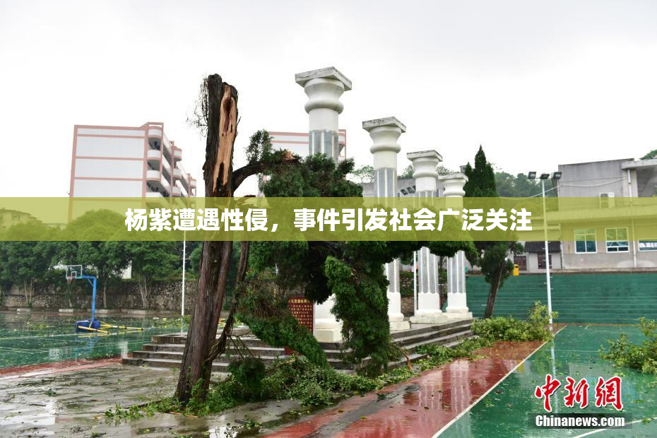 杨紫遭遇性侵，事件引发社会广泛关注