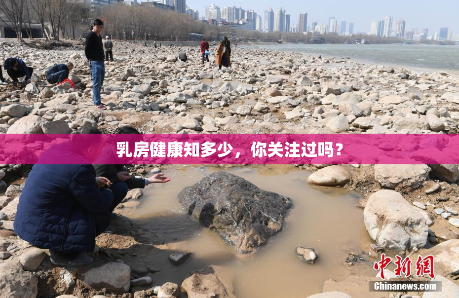 乳房健康知多少，你关注过吗？