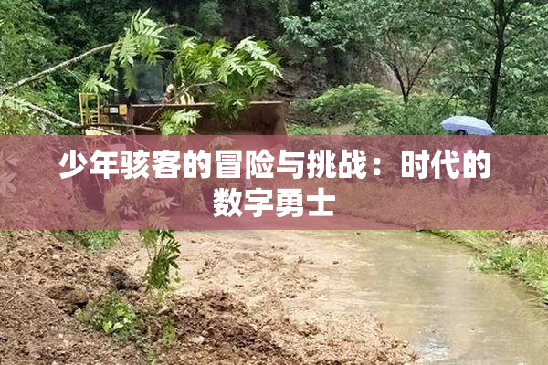 少年骇客的冒险与挑战：时代的数字勇士