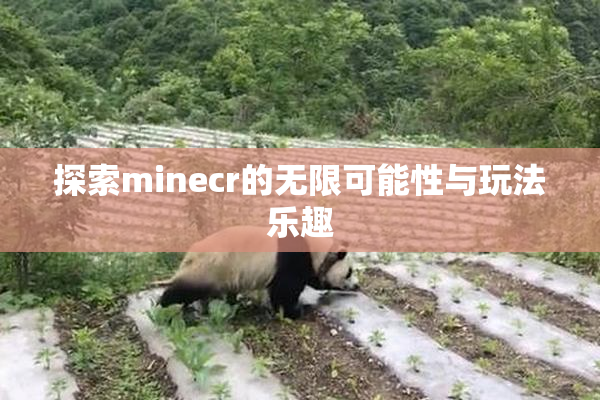 探索minecr的无限可能性与玩法乐趣