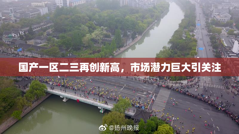 国产一区二三再创新高，市场潜力巨大引关注