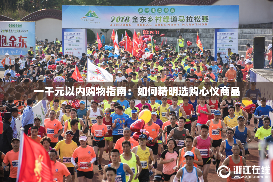 一千元以内购物指南：如何精明选购心仪商品