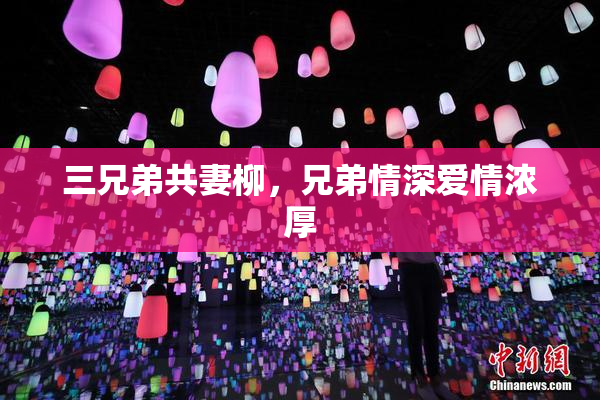 三兄弟共妻柳，兄弟情深爱情浓厚