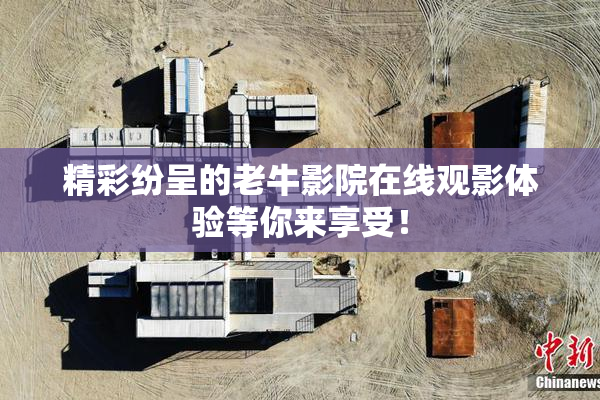精彩纷呈的老牛影院在线观影体验等你来享受！