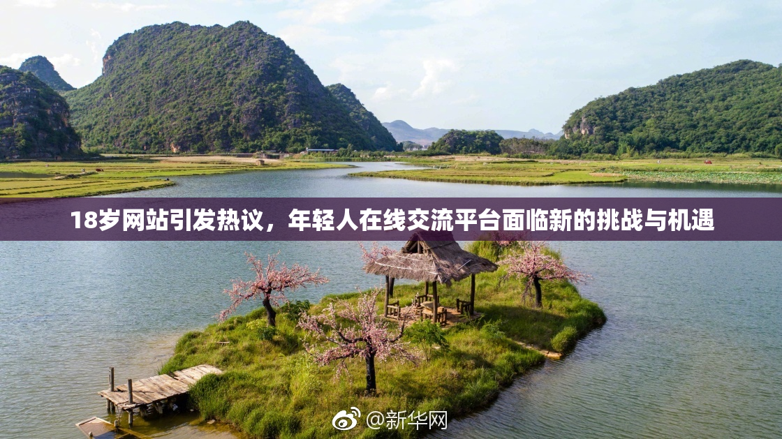 18岁网站引发热议，年轻人在线交流平台面临新的挑战与机遇