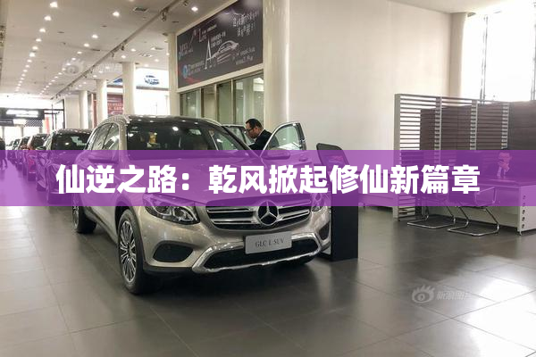 仙逆之路：乾风掀起修仙新篇章