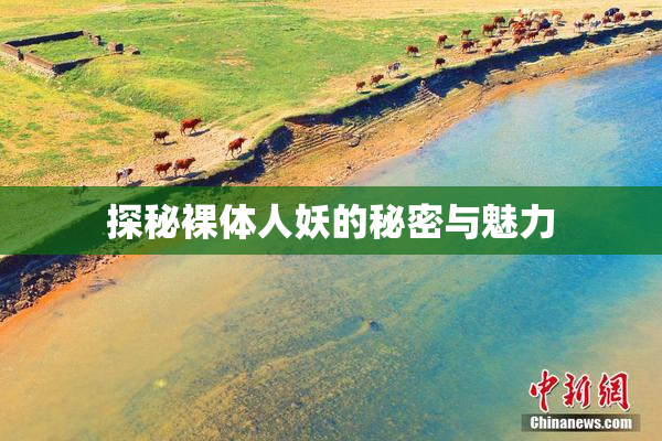 探秘裸体人妖的秘密与魅力