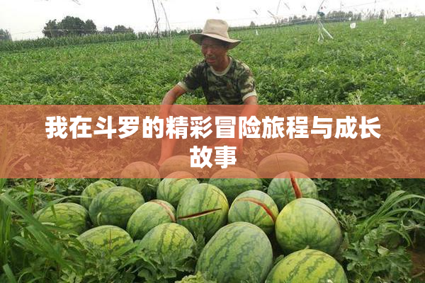 我在斗罗的精彩冒险旅程与成长故事