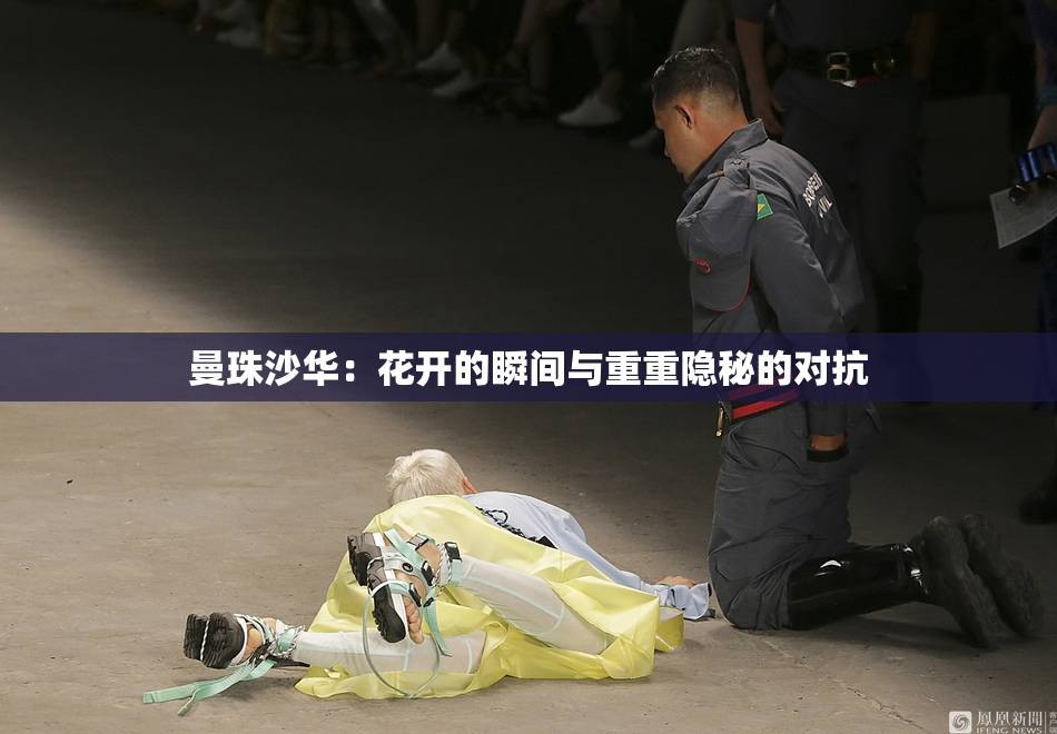 曼珠沙华：花开的瞬间与重重隐秘的对抗