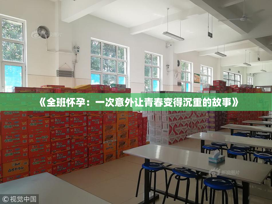 《全班怀孕：一次意外让青春变得沉重的故事》