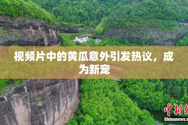 视频片中的黄瓜意外引发热议，成为新宠