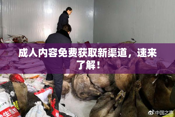 成人内容免费获取新渠道，速来了解！