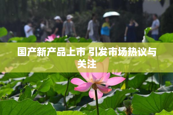 国产新产品上市 引发市场热议与关注