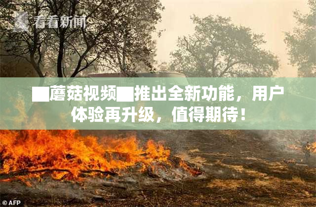 ▇蘑菇视频▇推出全新功能，用户体验再升级，值得期待！