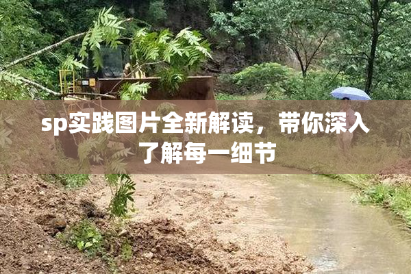 sp实践图片全新解读，带你深入了解每一细节