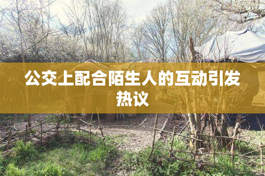 公交上配合陌生人的互动引发热议