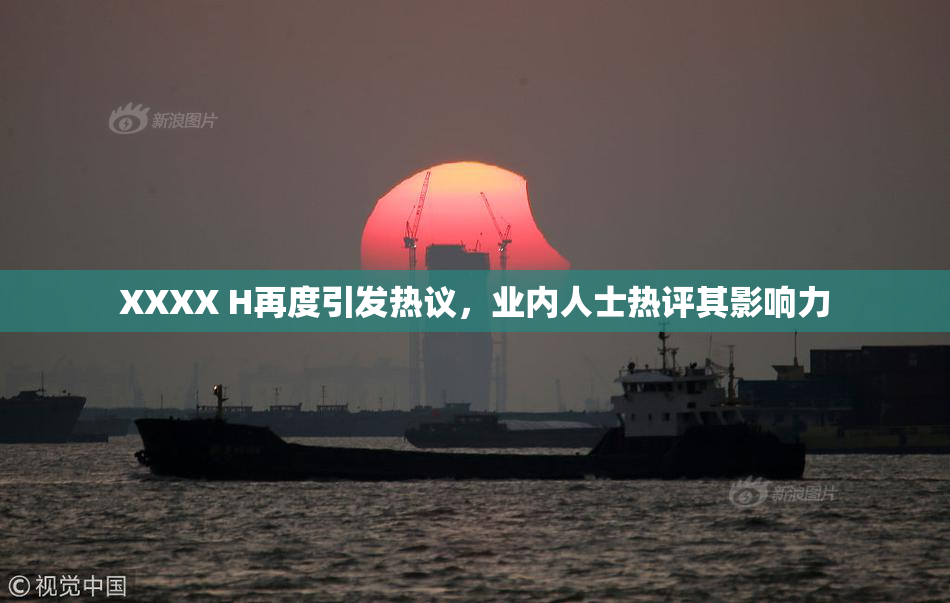XXXX H再度引发热议，业内人士热评其影响力