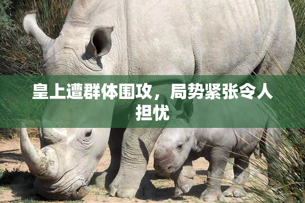 皇上遭群体围攻，局势紧张令人担忧