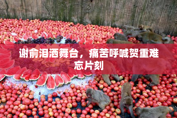 谢俞泪洒舞台，痛苦呼喊贺重难忘片刻