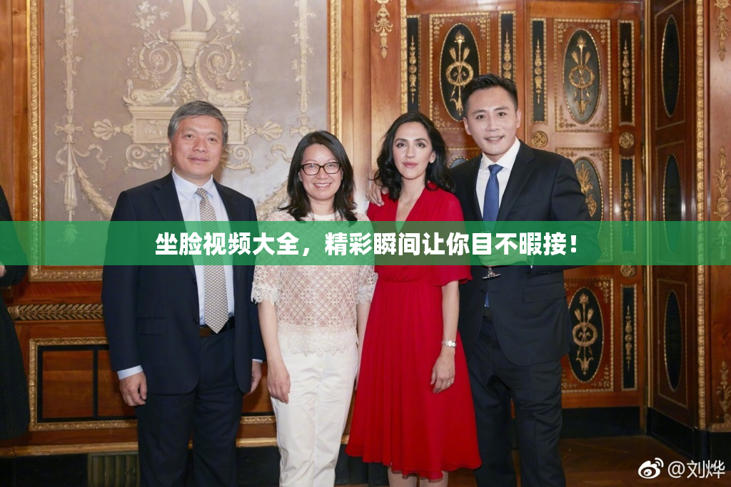 坐脸视频大全，精彩瞬间让你目不暇接！