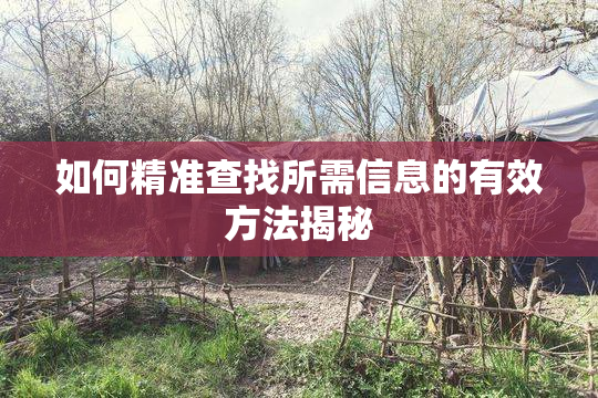如何精准查找所需信息的有效方法揭秘