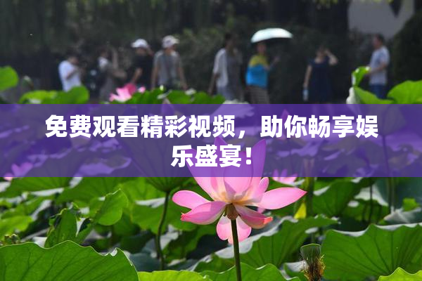 免费观看精彩视频，助你畅享娱乐盛宴！