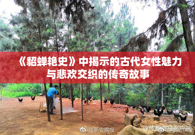 《貂蝉艳史》中揭示的古代女性魅力与悲欢交织的传奇故事