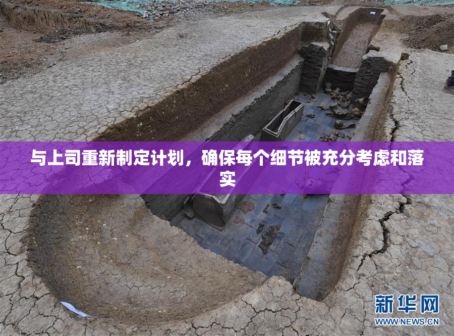与上司重新制定计划，确保每个细节被充分考虑和落实