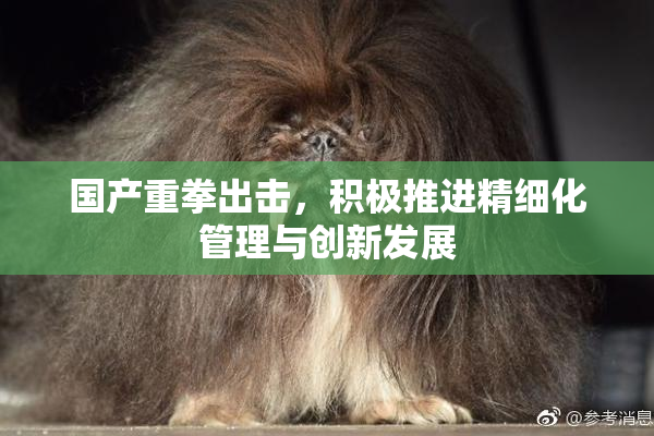 国产重拳出击，积极推进精细化管理与创新发展