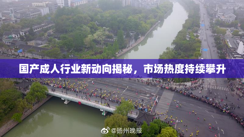 国产成人行业新动向揭秘，市场热度持续攀升