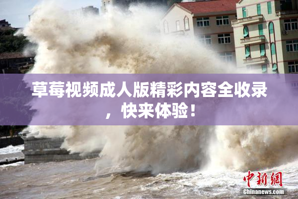 草莓视频成人版精彩内容全收录，快来体验！