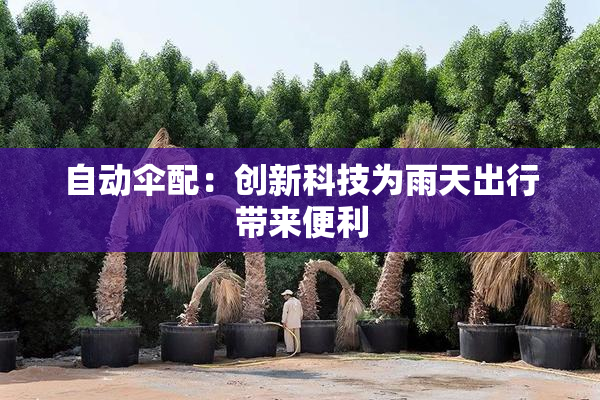 自动伞配：创新科技为雨天出行带来便利