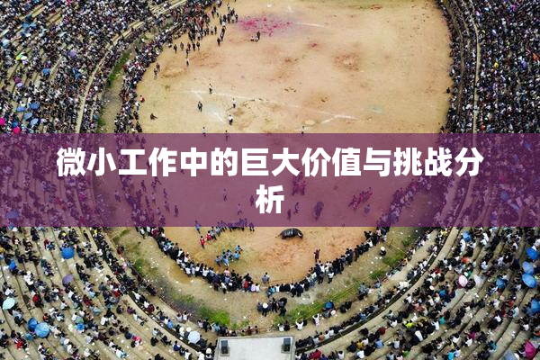 微小工作中的巨大价值与挑战分析
