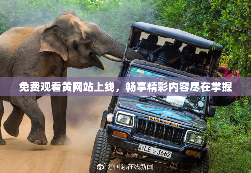 免费观看黄网站上线，畅享精彩内容尽在掌握