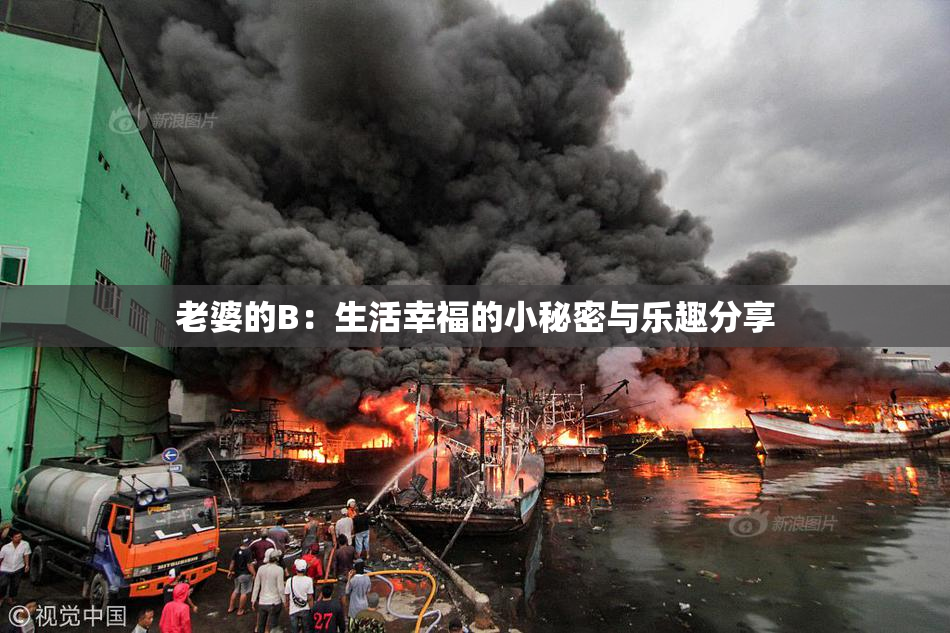 老婆的B：生活幸福的小秘密与乐趣分享