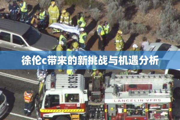 徐伦c带来的新挑战与机遇分析