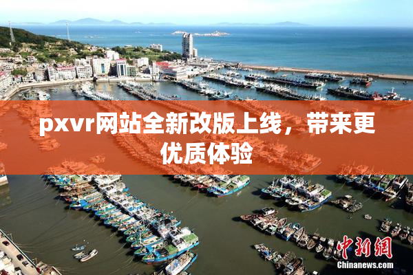 pxvr网站全新改版上线，带来更优质体验