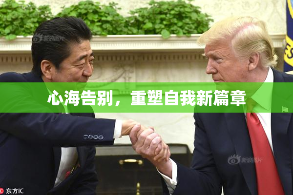 心海告别，重塑自我新篇章