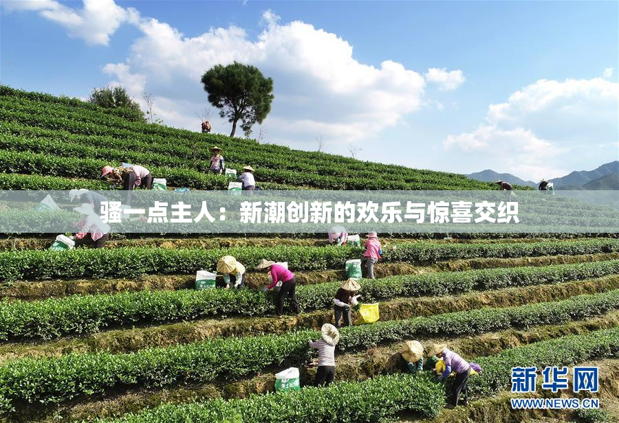 骚一点主人：新潮创新的欢乐与惊喜交织