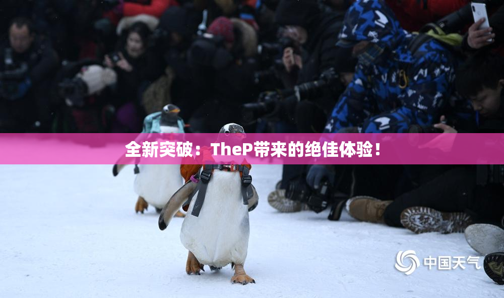 全新突破：TheP带来的绝佳体验！