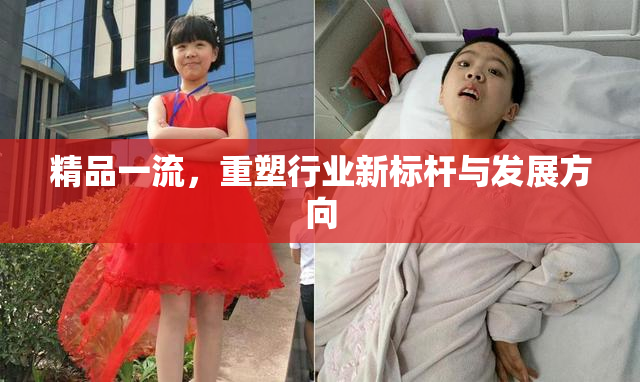 精品一流，重塑行业新标杆与发展方向