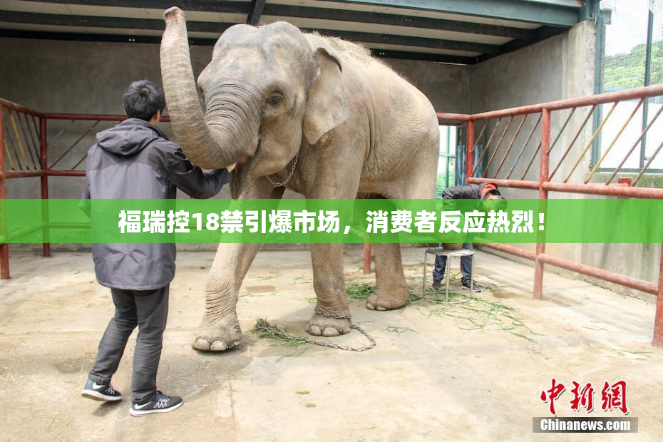 福瑞控18禁引爆市场，消费者反应热烈！